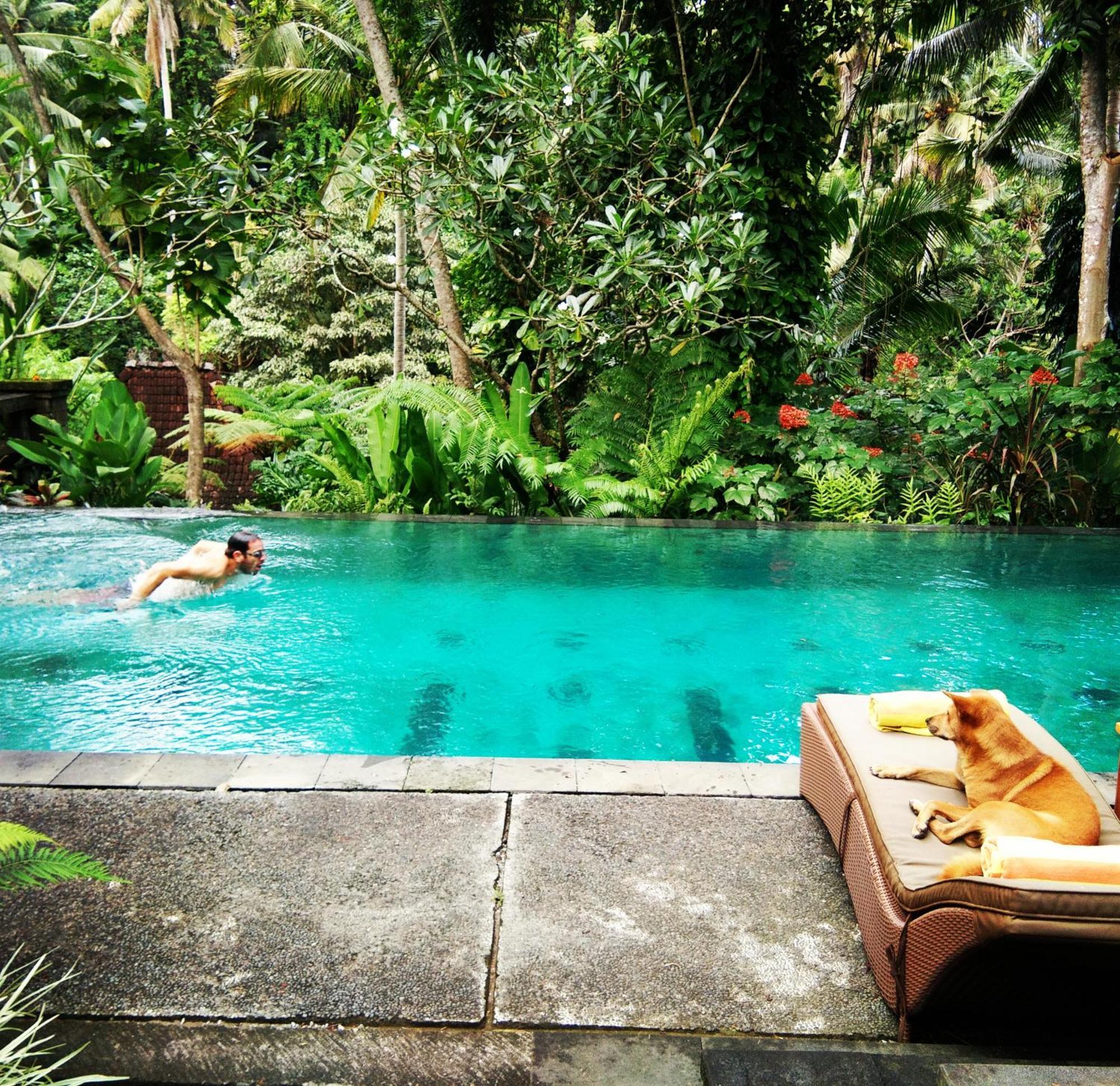 Villa Beji Indah Ubud Extérieur photo