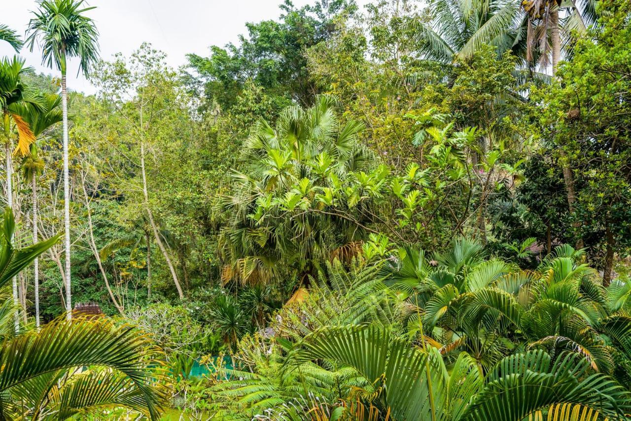 Villa Beji Indah Ubud Extérieur photo
